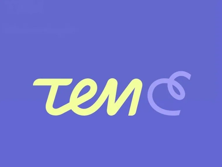 TEM